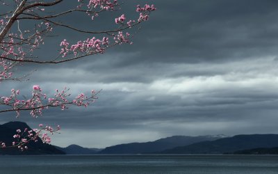 Пейзаж Эстетика