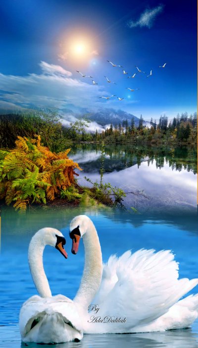 Красивая природа с лебедями