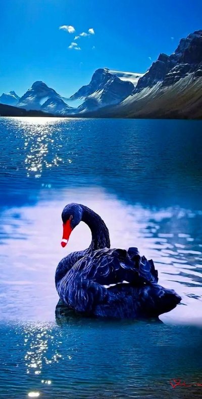 Синие лебеди