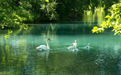 Лебединое озеро Абхазия