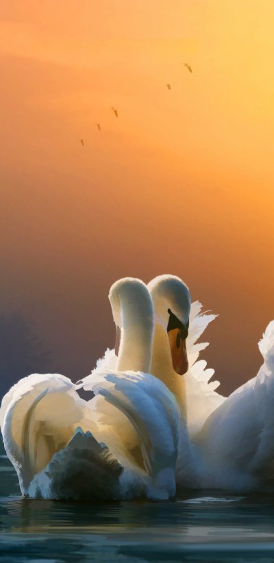 Красивая природа с лебедями