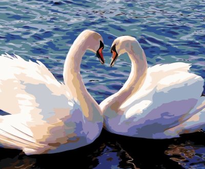 Влюбленные лебеди