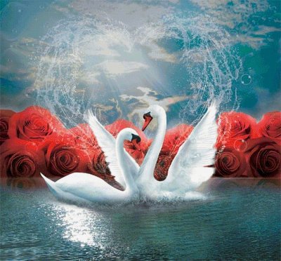 Открытки любимому мужчине