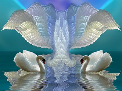 Лебеди сердце