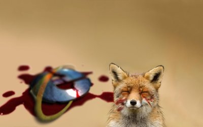 Лиса на рабочий стол