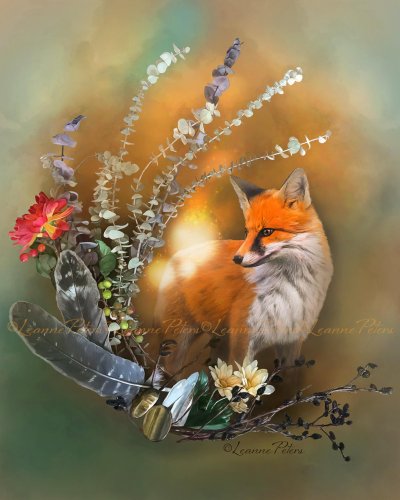 Красивая лиса