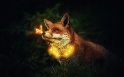 Лисы Кицунэ фенек Фокс