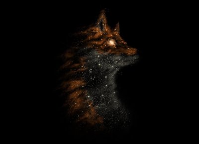 Лисица на черном фоне