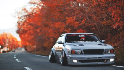 Чайзер стенс