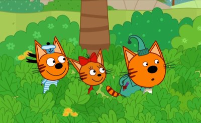 София Гадасина три кота