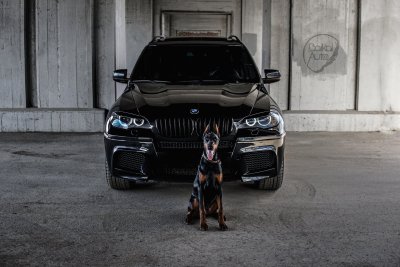 BMW x5 Custom