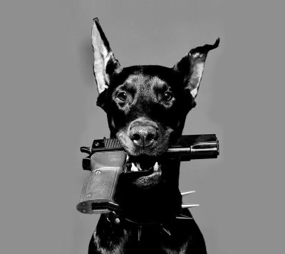 Iphone 13 Pro чехол Доберман