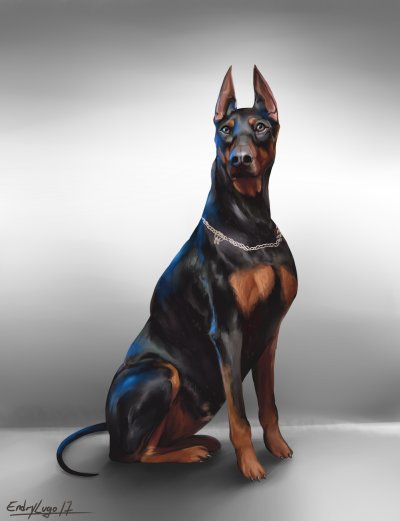 Доберман пинчер