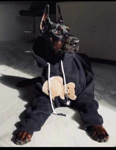 Худи с доберманом