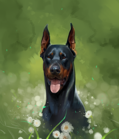 Доберман и овчарка арт