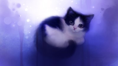 Обои на планшет милые котики