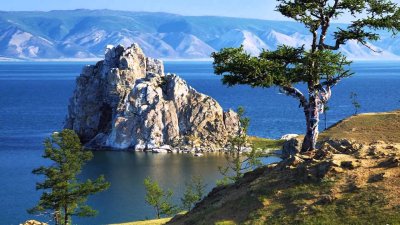 Лиственница на Байкале