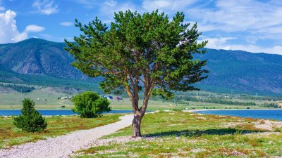 Природа Байкала