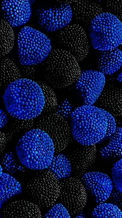 Черно-синие ягоды