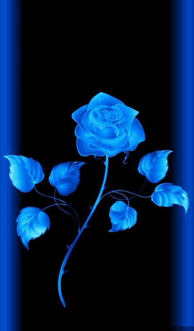 Темно синие цветы