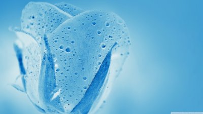 Красивый голубой цвет