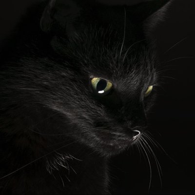 Красивые темные