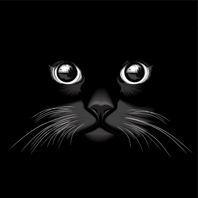 Морда кошки на черном фоне