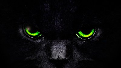 Глаза кошки