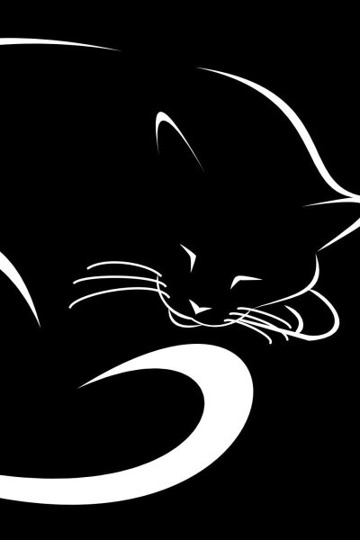 Черная кошка на черном фоне
