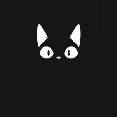 Котенок на черном фоне