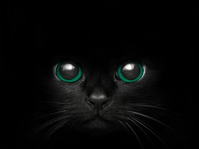 Черная кошка с зелеными глазами