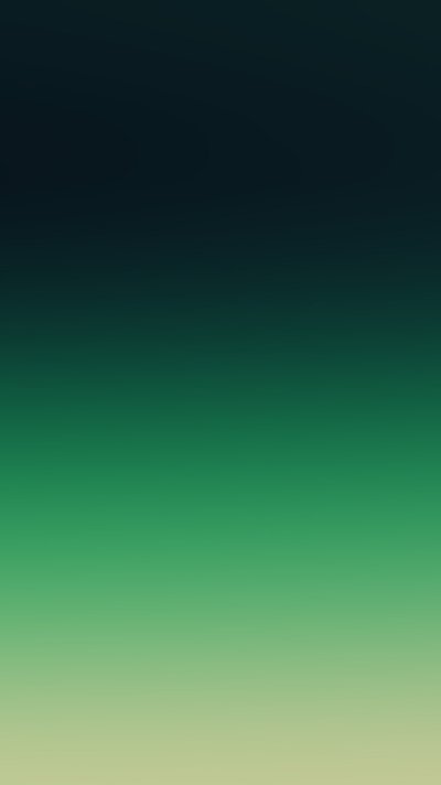 Сплошной цвет