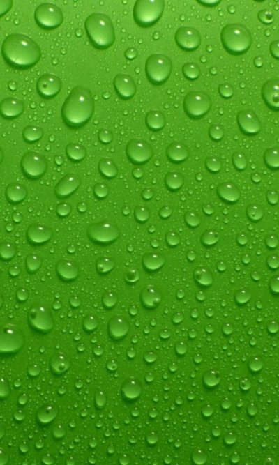 Зелёные обои на телефон