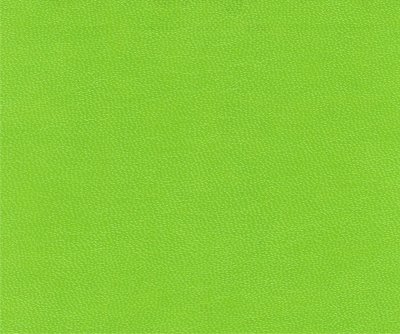 Зеленый цвет однотонный