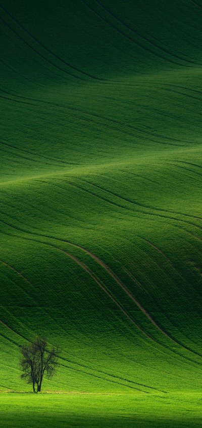 Зеленая природа