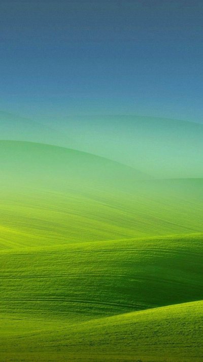 Красивый зеленый пейзаж