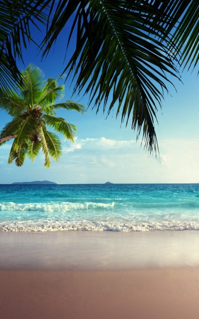 Море пальмы и песок