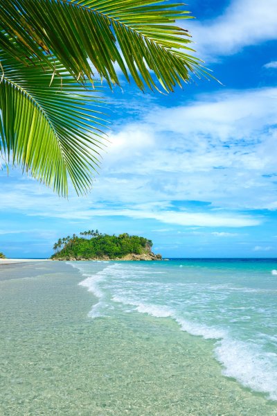 Тропическое море