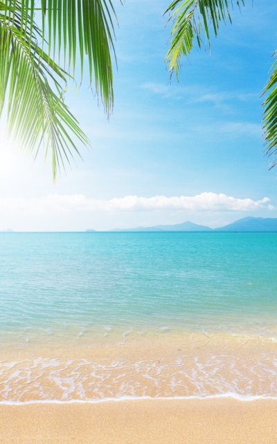 Море солнце пальмы