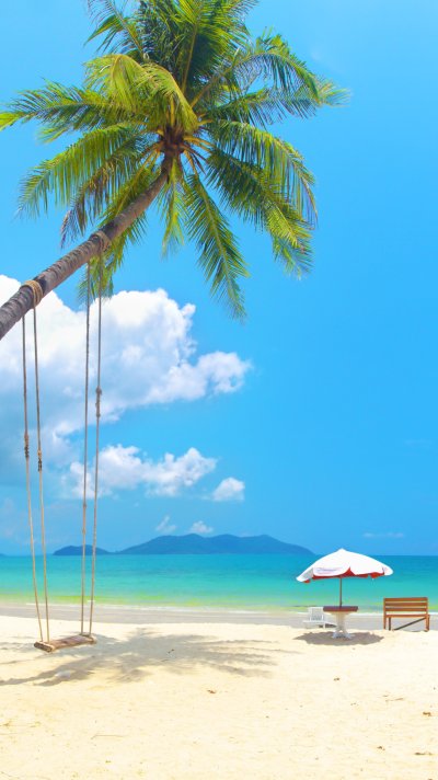 Берег с пальмами