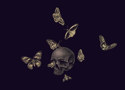 Memento Mori бабочки