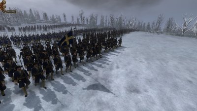 Тотал вар Империя шведская армия