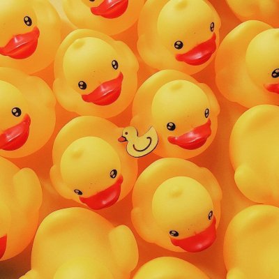 Фон с утками