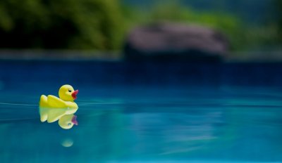 Фон с утками