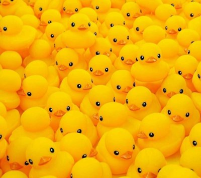 Желтая уточка