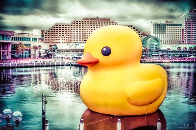 Обои с уточками