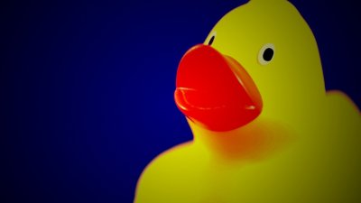 Утка желтая