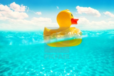 Резиновые уточки в море