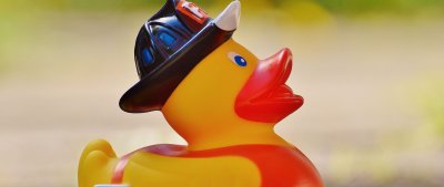 Уточка Ларри Фанфан