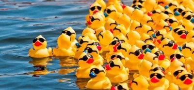 Фон с уточками